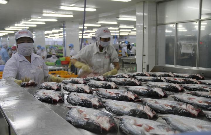 Trong những năm gần đây, xu hướng về thể thao và sức khỏe ngày càng trở nên
