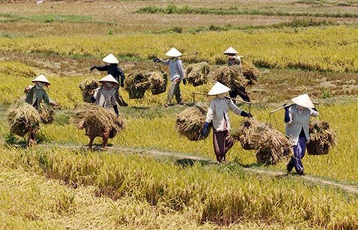 Sốc nặng với