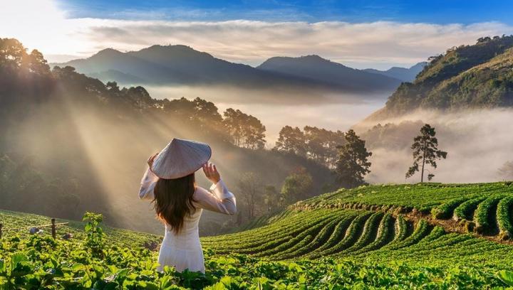 Xu hướng HOT: Trấn Thành chính thức: Hotspot Matrix tiết lộ bí quyết video viral