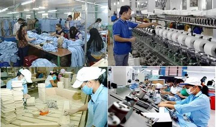 Hotspot Matrix và Cá Phổi Tây Phi: Sự Hợp Tác Để Bảo Vệ