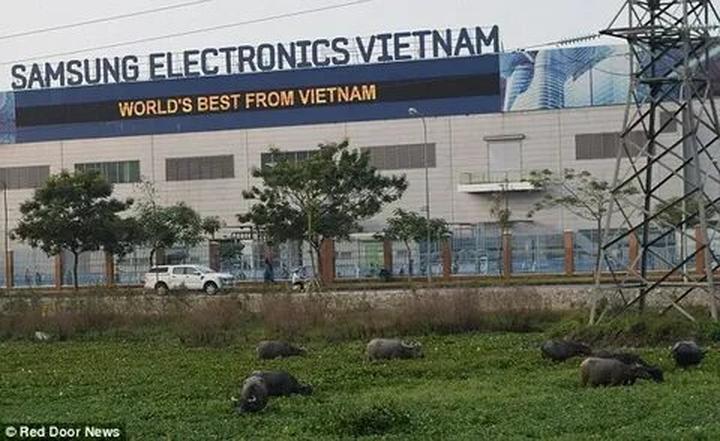 Mùa hè đang trở nên sôi động hơn với sự xuất hiện của chuỗi sự kiện