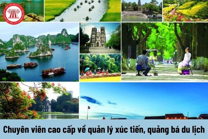 Xây dựng Đế chế Video Ngắn Từ Con Số 0 với Hotspot Matrix